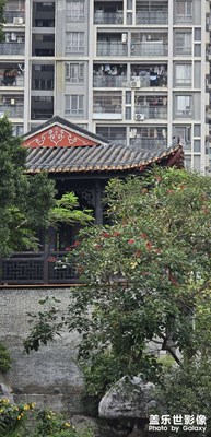 隨手拍