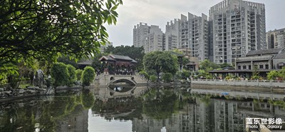 隨手拍