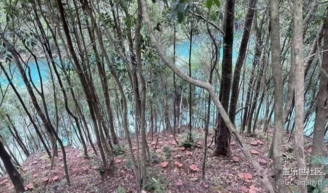 【山野尋幽】綠水青山