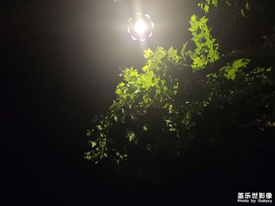 【初夏拾光】初夏的感覺