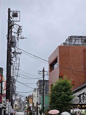 【初夏拾光】陰天