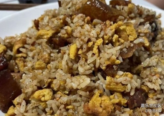 【春末集鮮】醬油雞炒飯