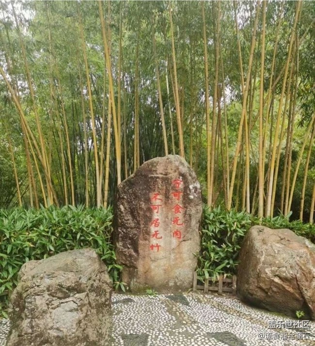 【春夏之旅】春色依然
