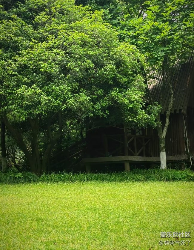 【春夏之旅】森林小屋