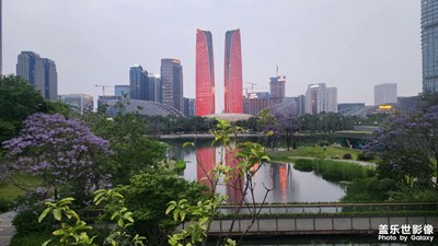 【光影留痕】+成都交子公園看藍(lán)花楹 雙子塔倒影