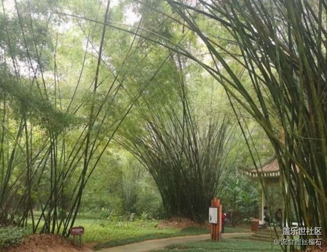 【春夏之旅】春色依然