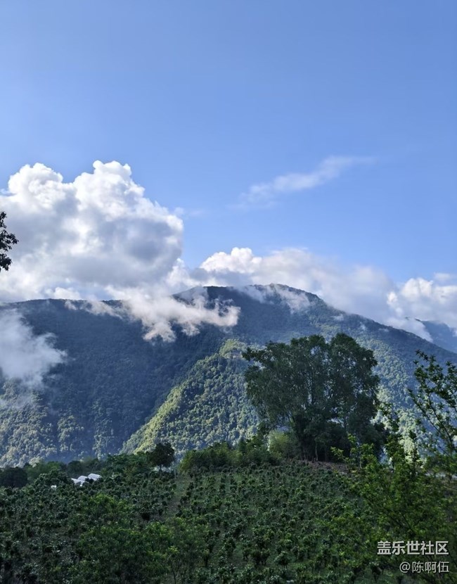 【春夏之旅】山林美景