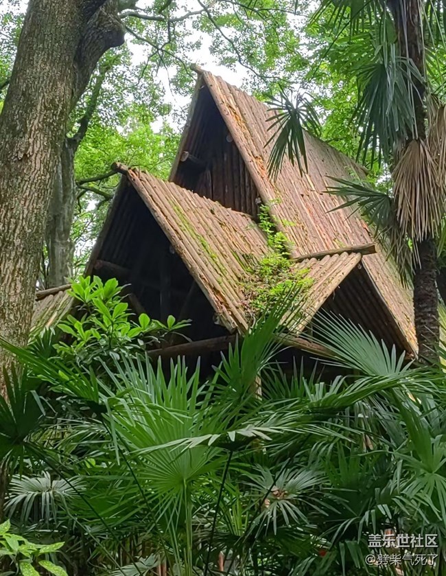 【春夏之旅】森林小屋