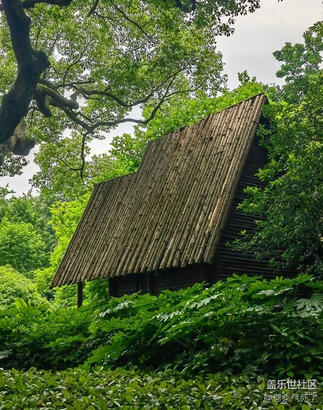 【春夏之旅】森林小屋