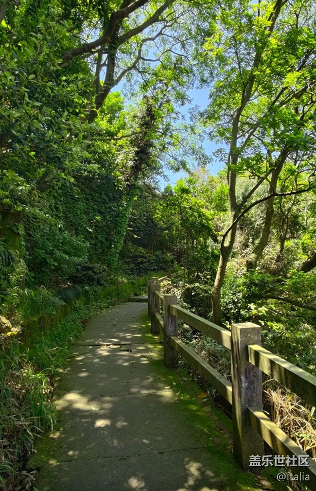 【春夏之旅】山頂風(fēng)景