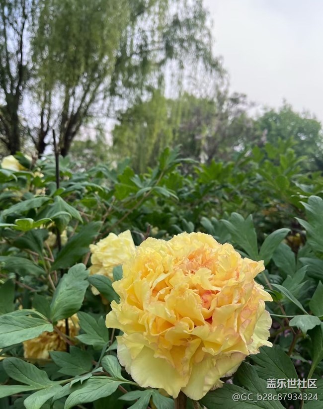 【春夏之旅】百花爭(zhēng)艷