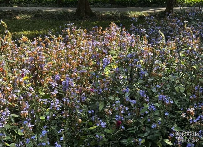 【春夏之旅】植物園