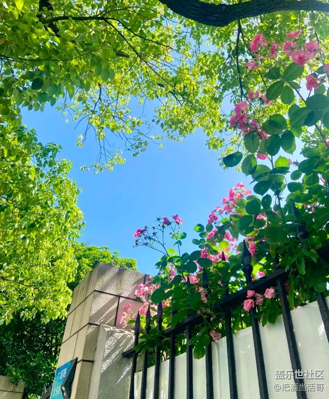 【春夏之旅】出去玩