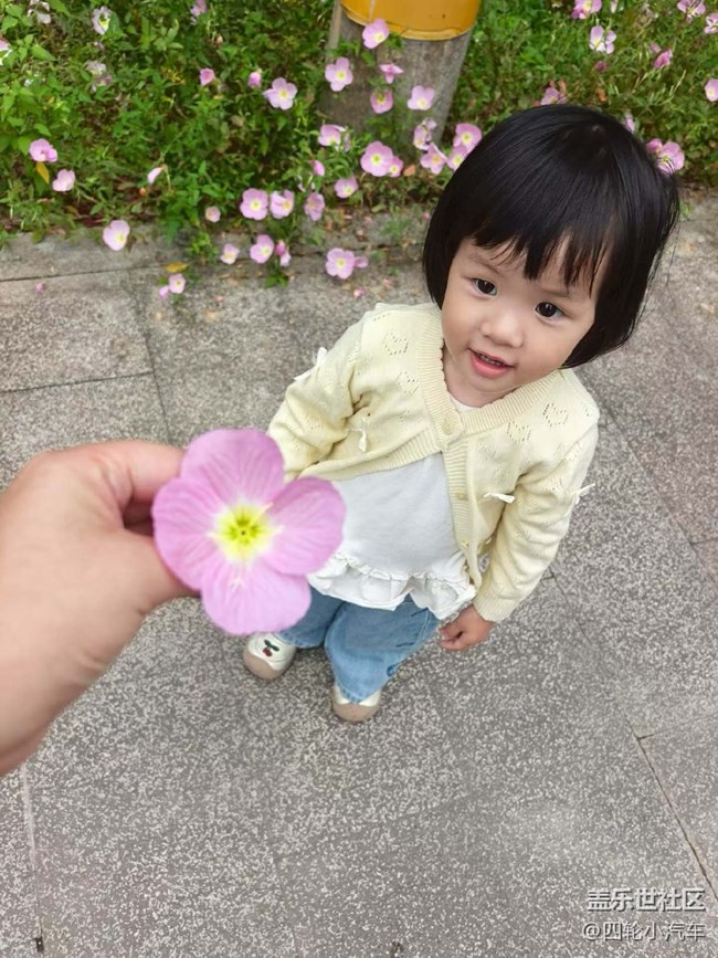 【春夏之旅】遛彎