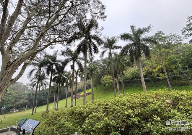 【春夏之旅】清晨爬山