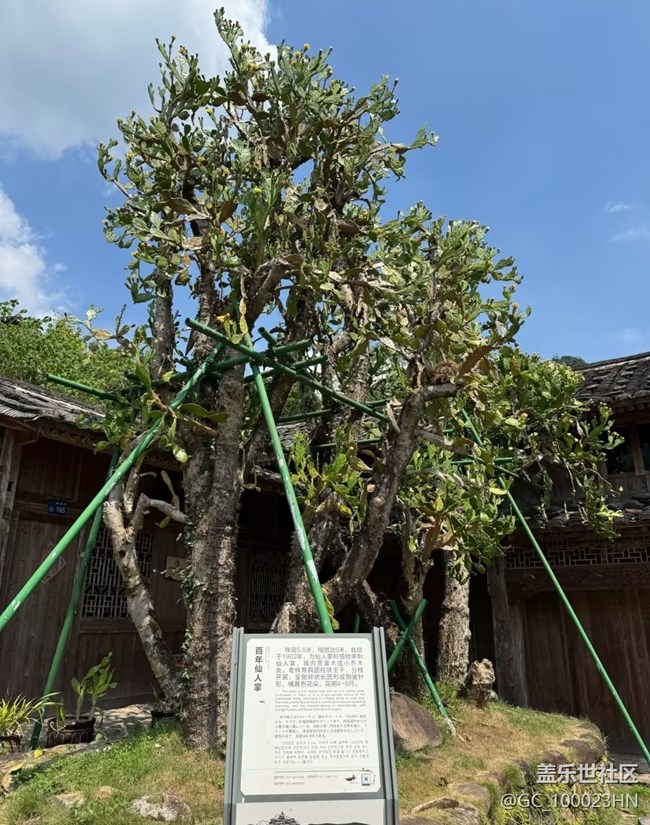 【春夏之旅】山間風(fēng)光