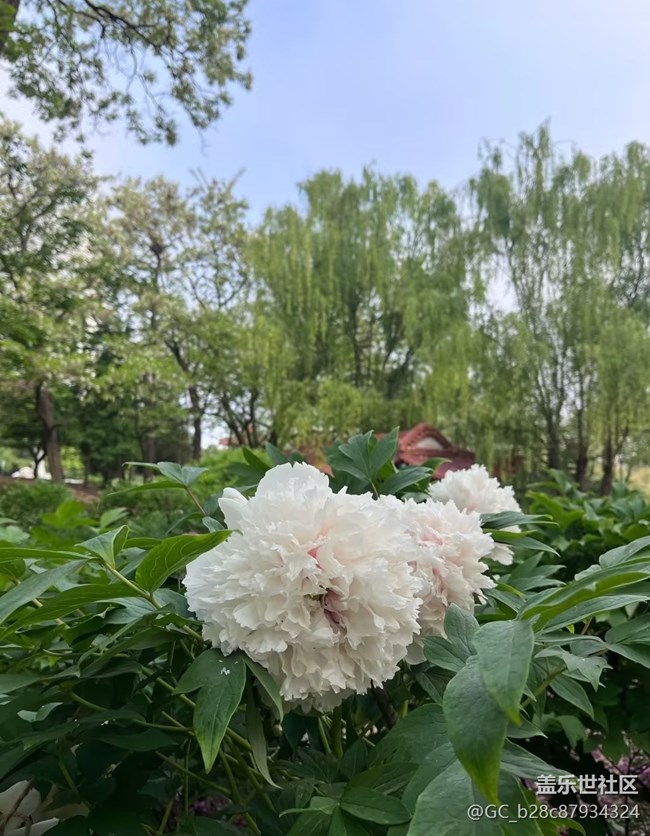 【春夏之旅】百花爭(zhēng)艷