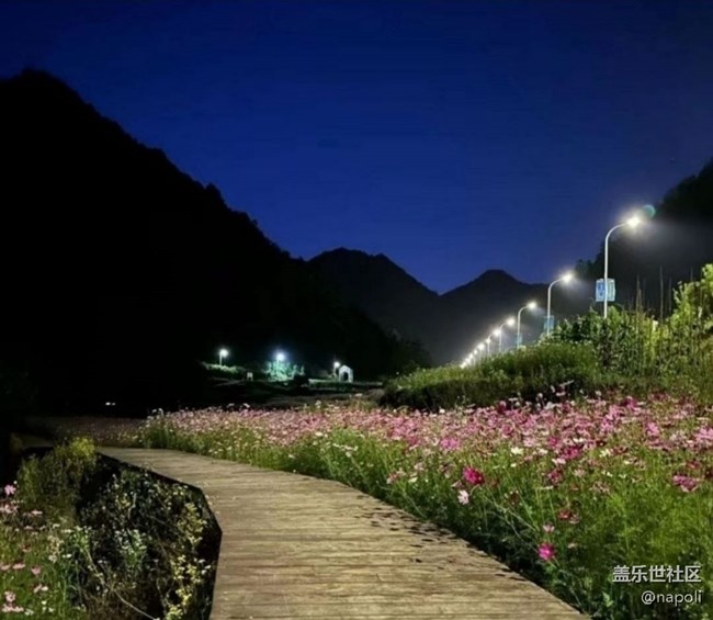 【春夏之旅】美麗夏夜