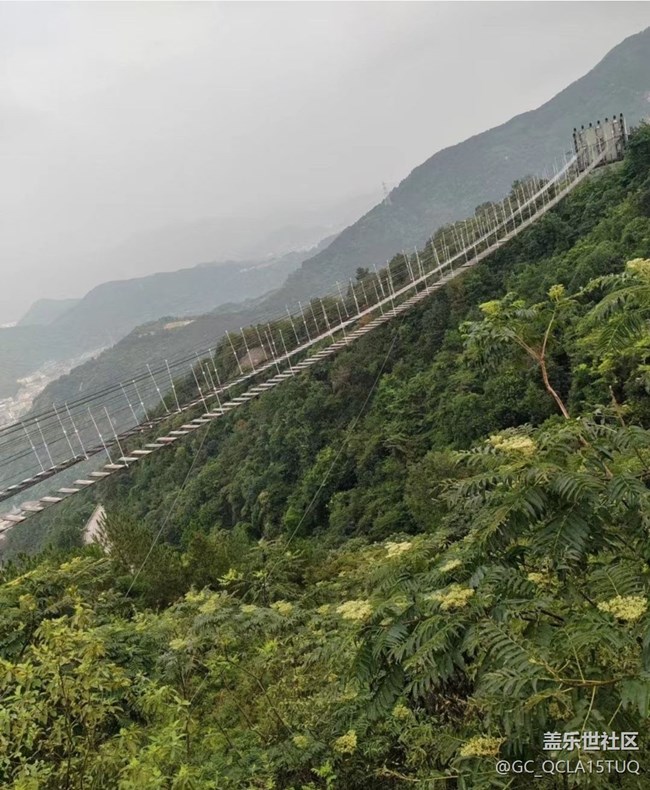 【春夏之旅】吊橋