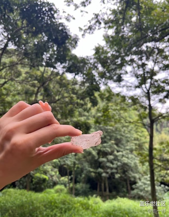 【春夏之旅】山上挖寶