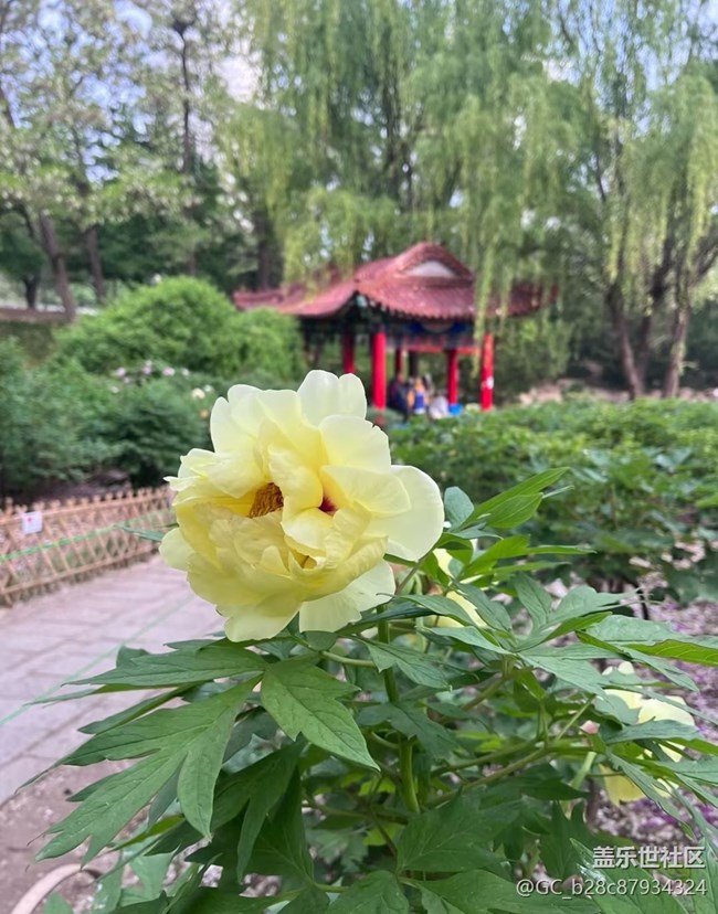 【春夏之旅】百花爭(zhēng)艷