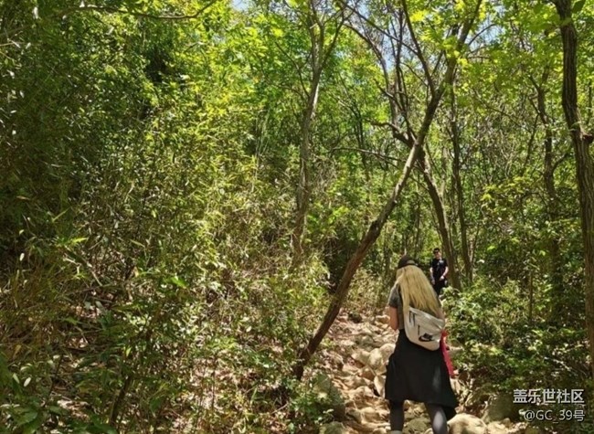 【春夏之旅】登山