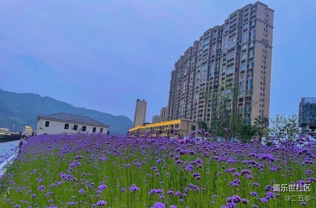 【春夏之旅】邂逅紫色