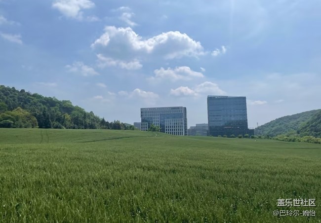 【春夏之旅】風吹麥浪