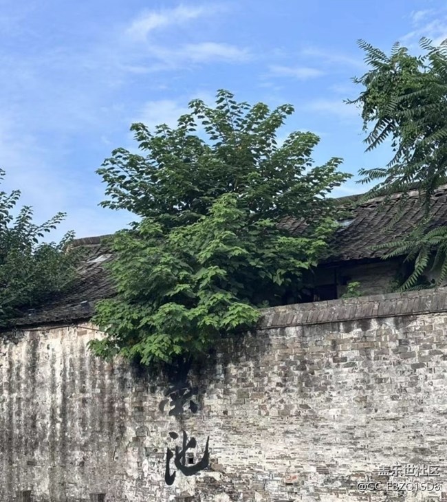 【春夏之旅】紹興