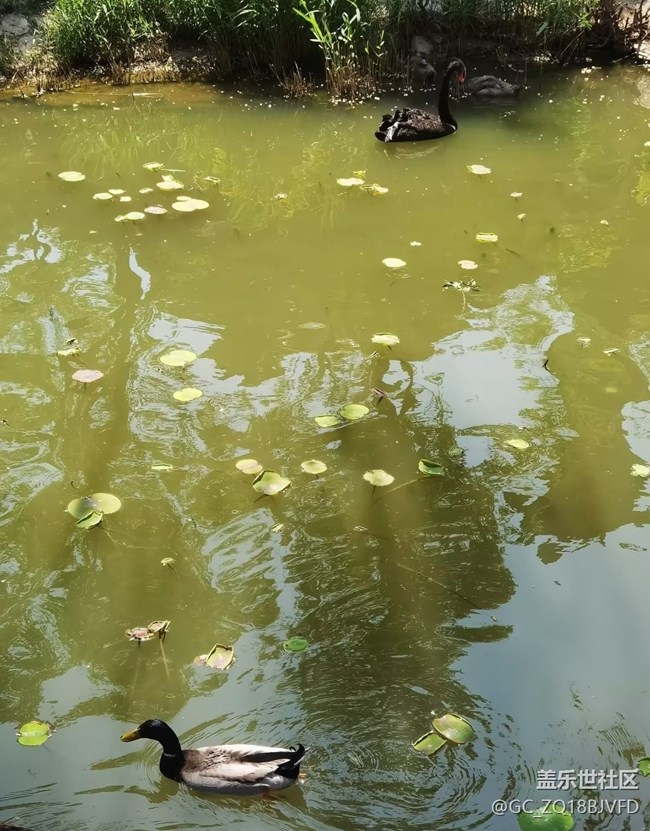 【春夏之旅】逛公園