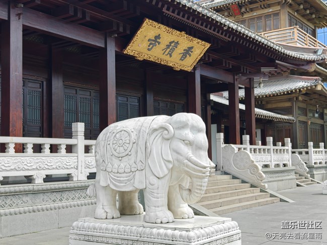 【春夏之旅】大兜路歷史文化街區(qū)