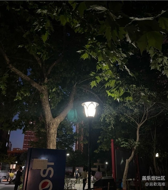 【春夏之旅】夜晚的街