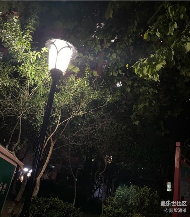 【春夏之旅】夜晚的街