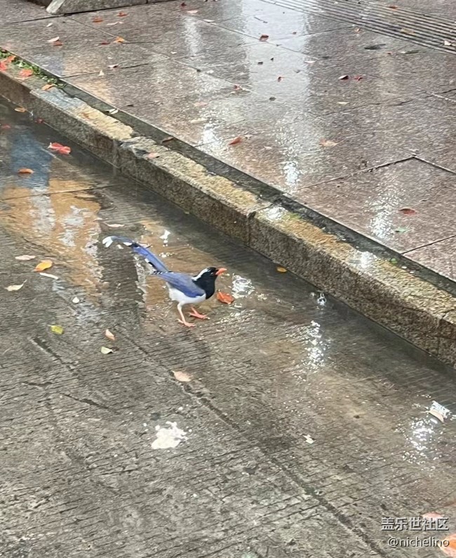【春夏之旅】雨天偶遇