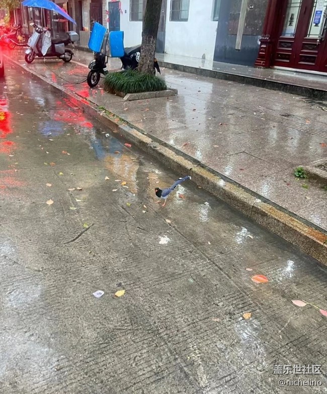 【春夏之旅】雨天偶遇