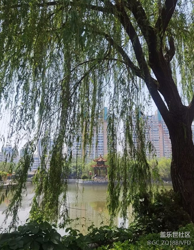 【春夏之旅】逛公園