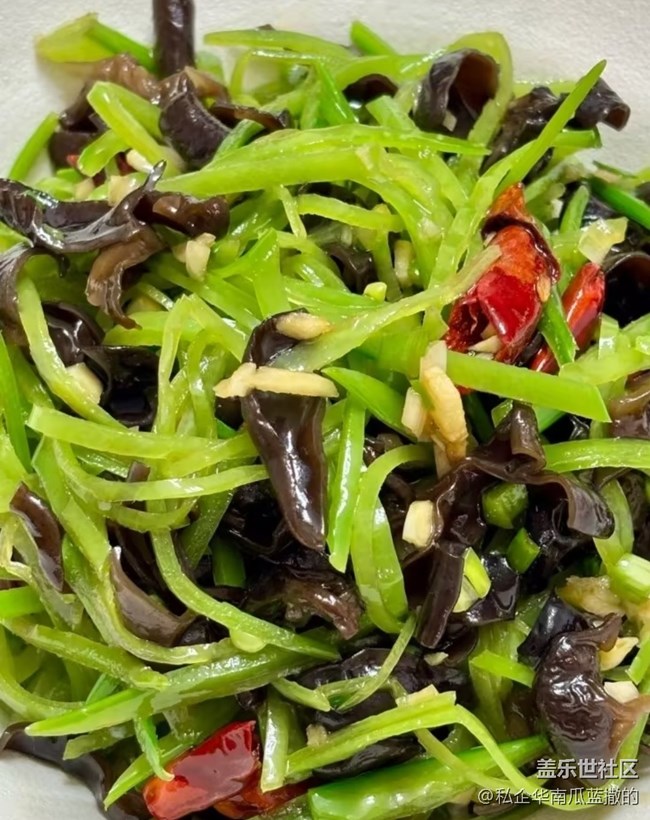 【初夏食味】涼拌木耳