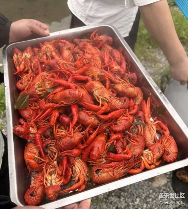 【春夏之旅】露營吧