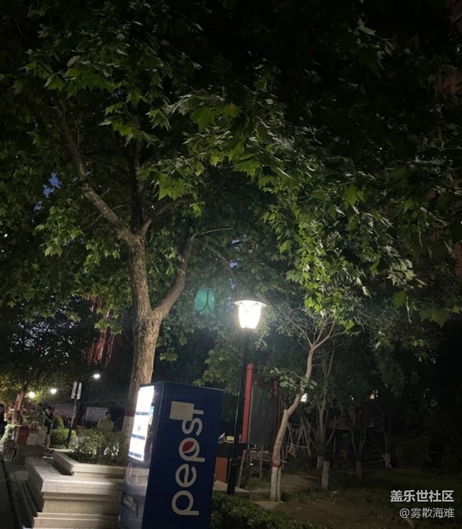 【春夏之旅】夜晚的街
