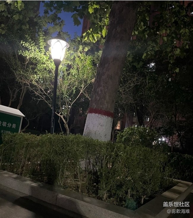 【春夏之旅】夜晚的街