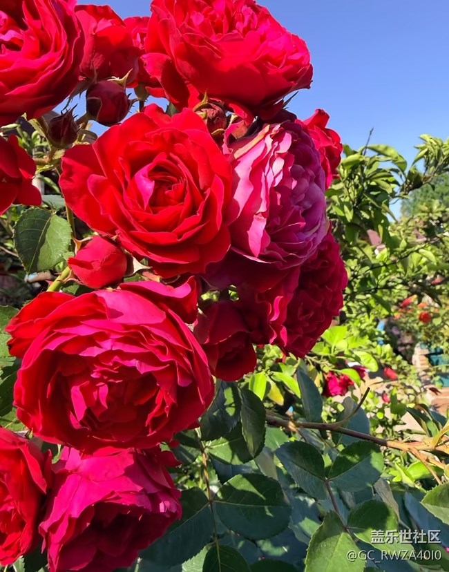 【春夏之旅】花園時光
