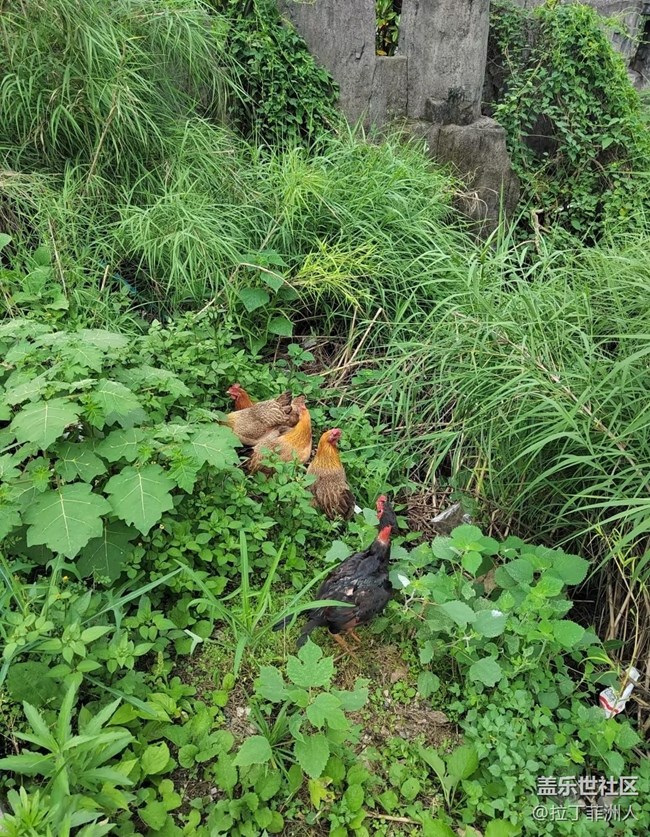 【春夏之旅】徒步所見