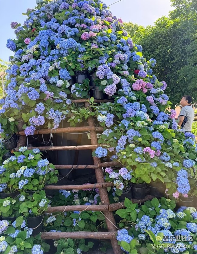 【春夏之旅】花園時光