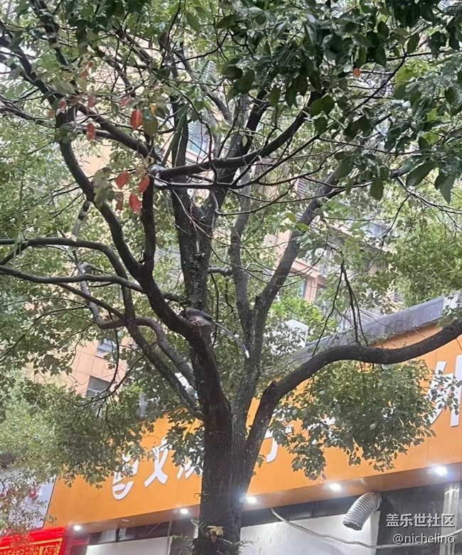 【春夏之旅】雨天偶遇