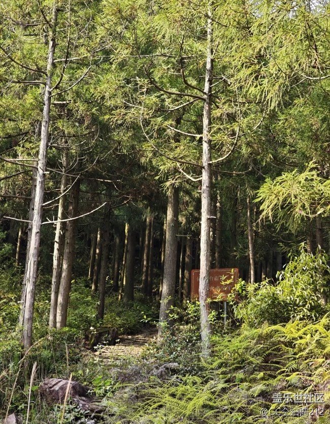 【春夏之旅】山野騎行