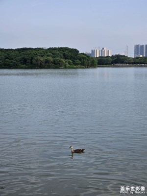 【光影留痕】+陽光下的湖面