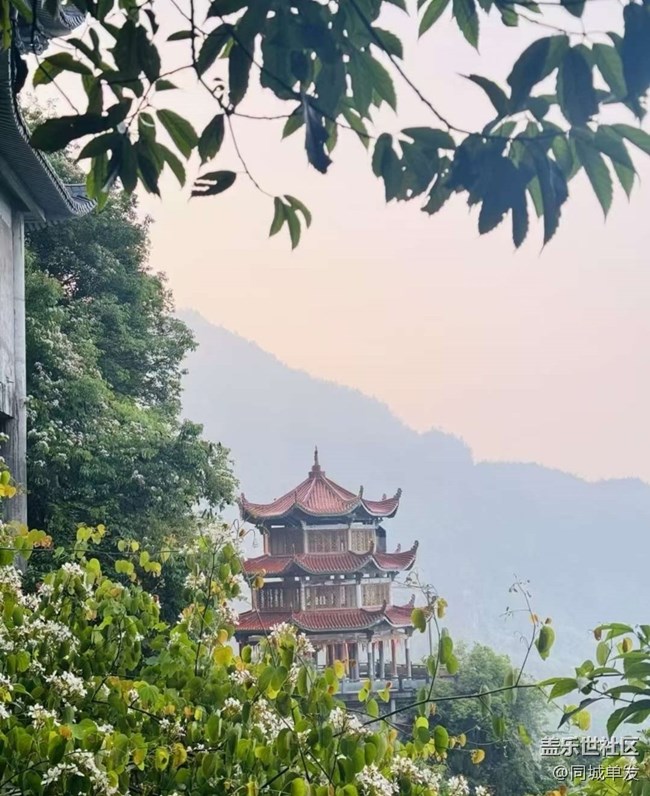 【春夏之旅】敬佛