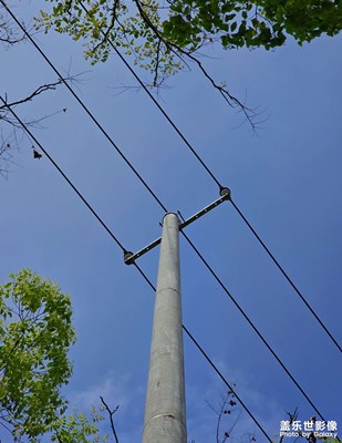 【光影留痕】陽光里的小清新