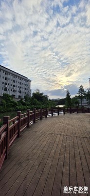 西陽西下