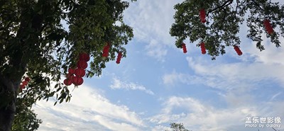 隨手拍